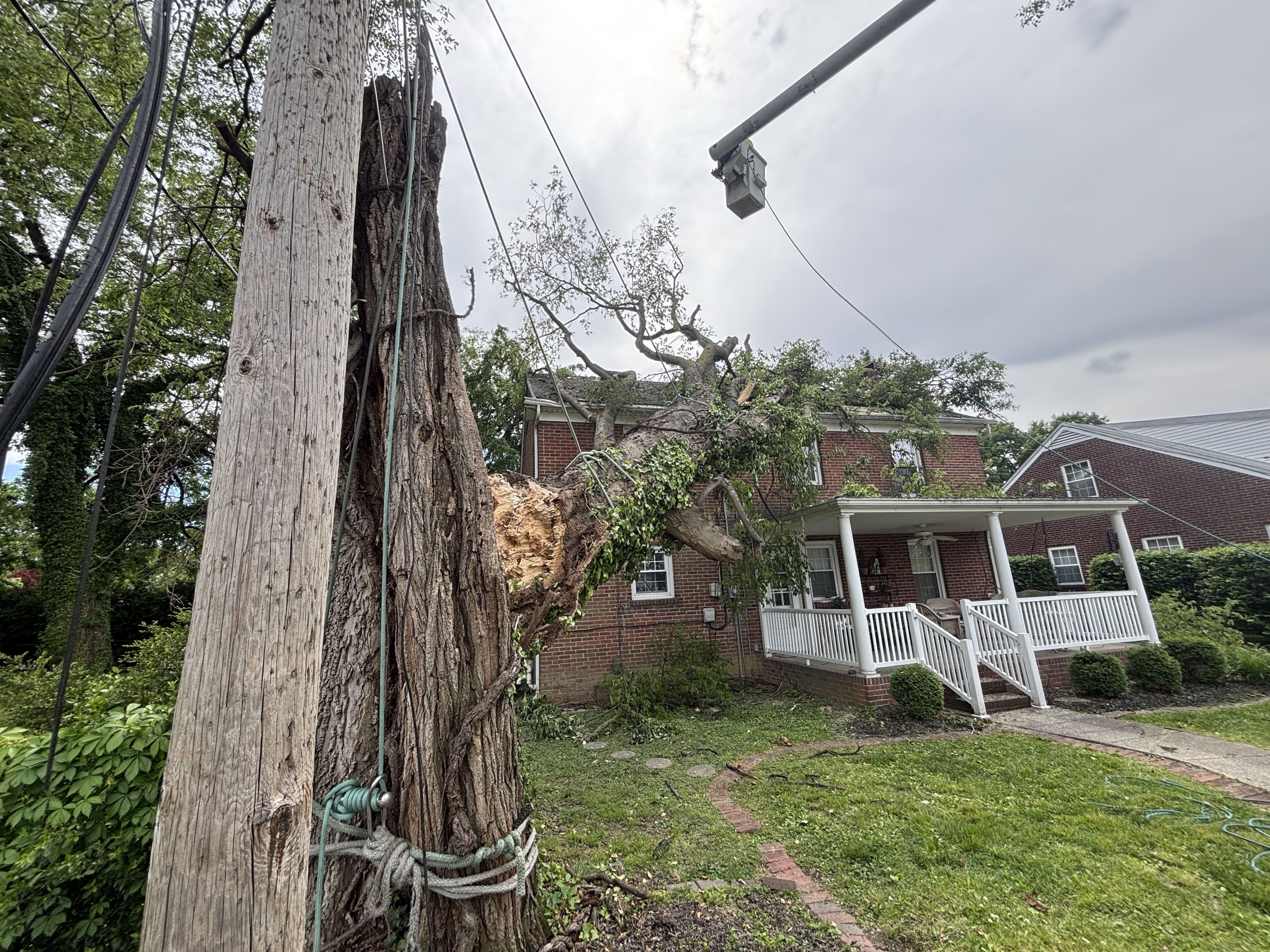 Storm Cleanup by WoodChuck Tree Service