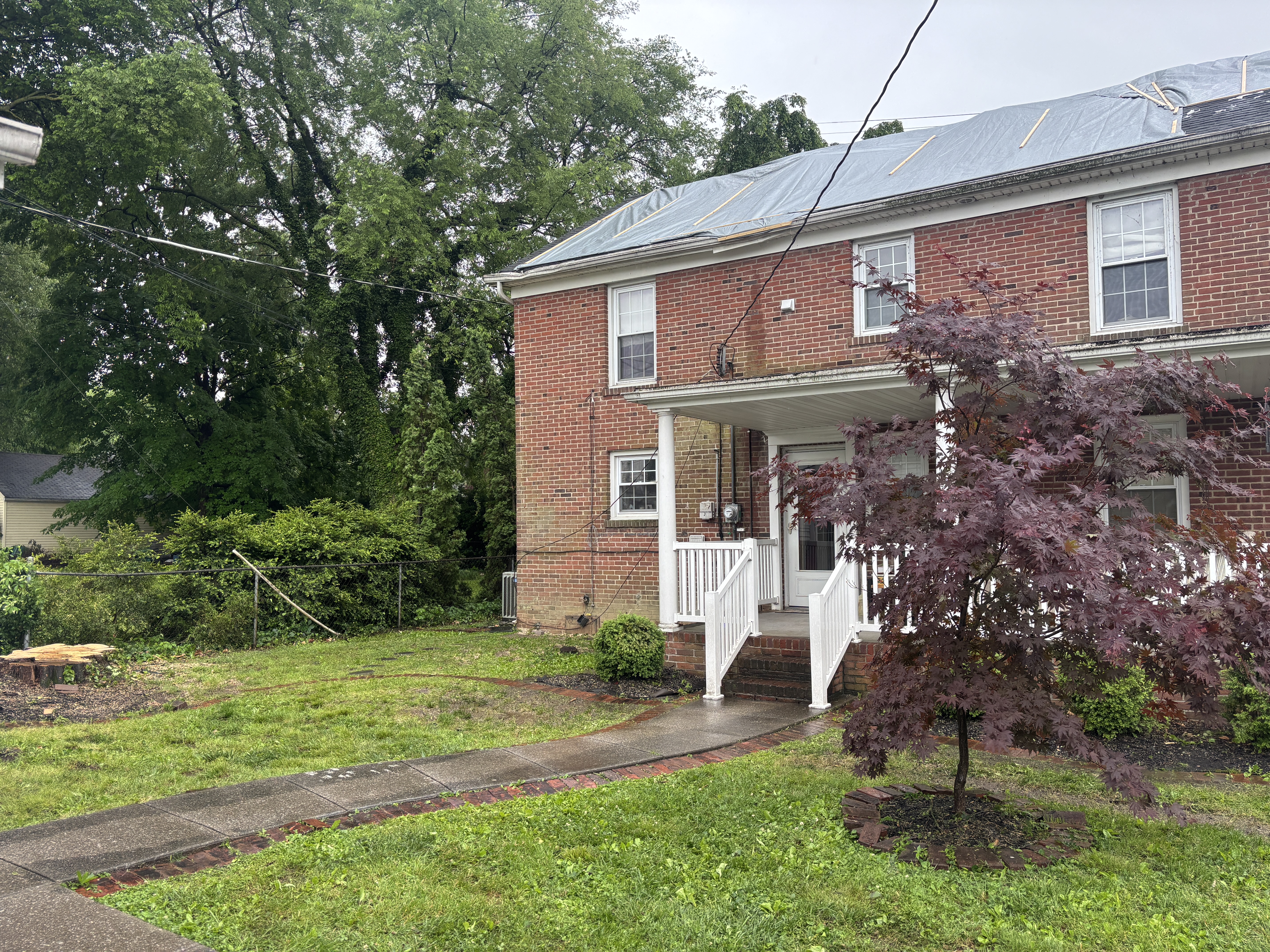 Tree work completed beside a brick home