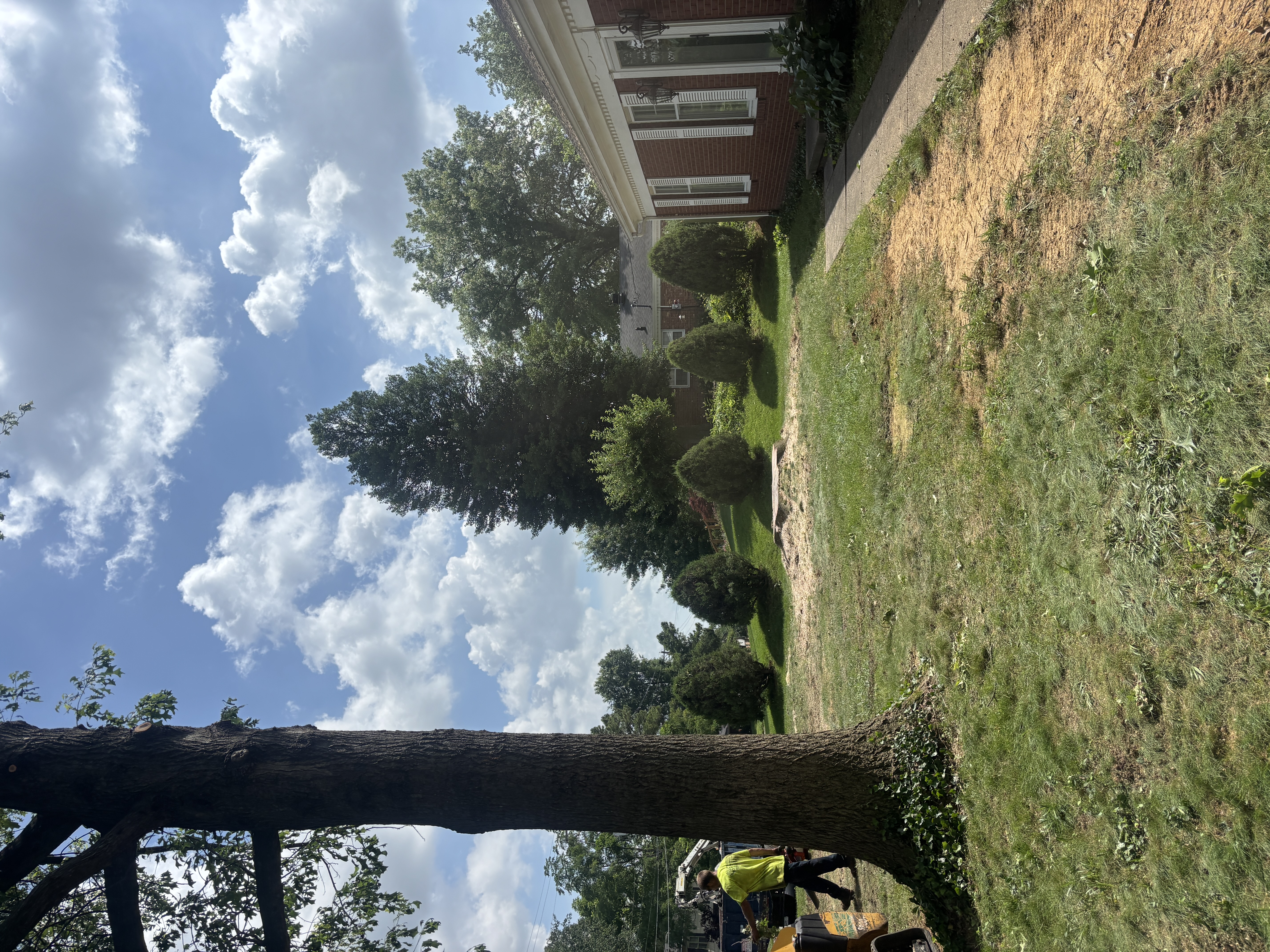 Stump Grinding by WoodChuck Tree Service